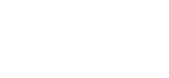 palm2