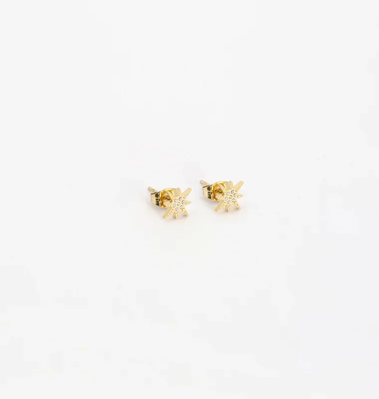 ZAG  Boucles d'oreilles Puces ISAAC